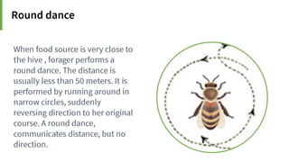 Animal Communication- Auditory and Visual.pptx