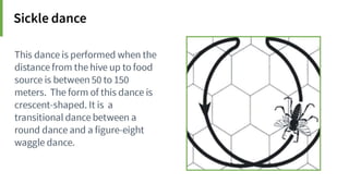 Animal Communication- Auditory and Visual.pptx
