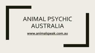 ANIMAL PSYCHIC
AUSTRALIA
www.animalspeak.com.au
 