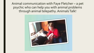Animal communication with Faye Fletcher – a pet
psychic who can help you with animal problems
through animal telepathy. AnimalsTalk!
 