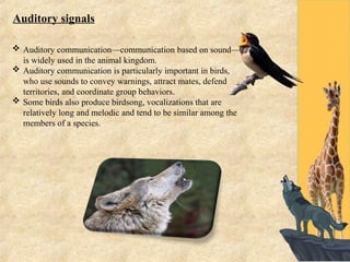 Animal Communication. Anees Ahmed Shah - -MSc Zoology.ppt