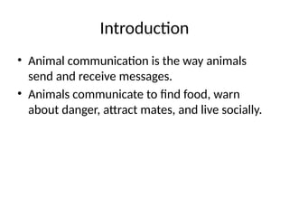 Animal_Communication_Colorful_Diagram.pptx