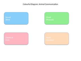 Animal_Communication_Colorful_Diagram.pptx