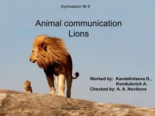 Animal communication
Lions
Worked by: Kandalintseva D.,
Kondulevich A.
Checked by: A. A. Novikova
Novosibirsk, 2012
Gymnasium № 9
 