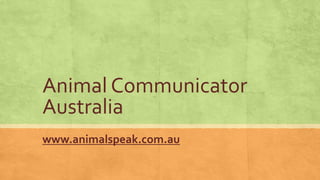 Animal Communicator
Australia
www.animalspeak.com.au
 