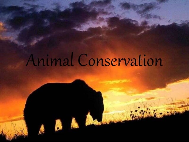 Animal conservation