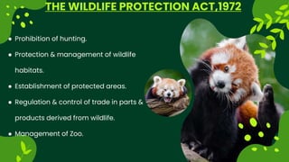 THE WILDLIFE PROTECTION ACT,1972
 Prohibition of hunting.
 Protection & management of wildlife
habitats.
 Establishment of protected areas.
 Regulation & control of trade in parts &
products derived from wildlife.
 Management of Zoo.
 