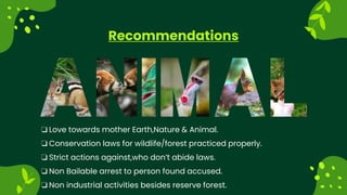 Recommendations
LEARN MORE
? Love towards mother Earth,Nature & Animal.
? Conservation laws for wildlife/forest practiced properly.
? Strict actions against,who dont abide laws.
? Non Bailable arrest to person found accused.
? Non industrial activities besides reserve forest.
 