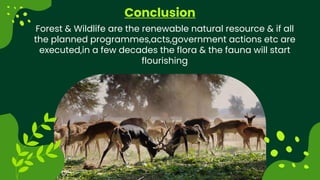 Conclusion
+123-456-7890
www.reallygreatsite.com
hello@reallygreatsite.com
Forest & Wildlife are the renewable natural resource & if all
the planned programmes,acts,government actions etc are
executed,in a few decades the flora & the fauna will start
flourishing
 