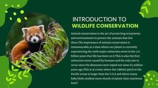 WILDLIFE CONSERVATION
INTRODUCTION TO
Animal conservation is the act of protecting ecosystems
and environments to protect the animals that live
there.The importance of animal conservation is
immeasurable,at a time where our planet is currently
experiencing the sixth major extinction event in the 3.6
billion years that life has been on it.This is also the first
extinction event caused by humans and the only one to
occur since the dinosaurs were wiped out some 65 million
years ago.This is at a time where the rubbish patch in the
Pacific ocean is larger than the U.S.A and where many
baby birds swallow more shards of plastic than nutritious
food !
 