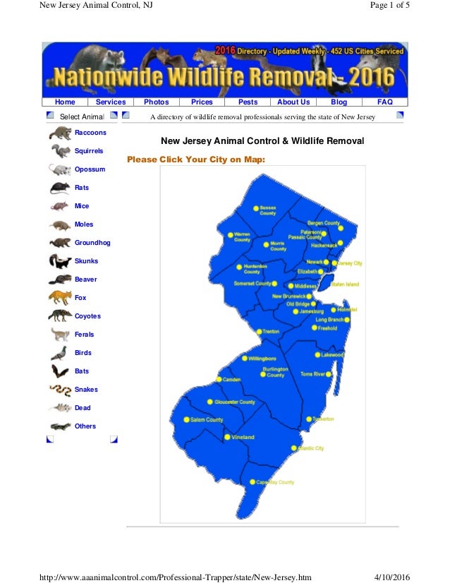 Animal and Wildlife Control NJ 7322843807 Monroe
