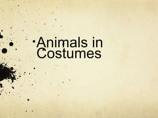 Animals in
Costumes
 