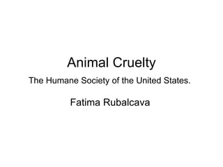 Animal Cruelty The Humane Society of the United States.   Fatima Rubalcava  