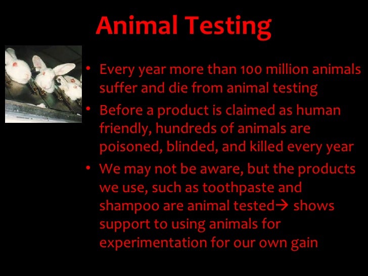 Animal Cruelty Ethics Ppt animal-cruelty-ethics-ppt