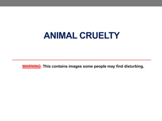 ANIMAL CRUELTY


WARNING: This contains images some people may find disturbing.
 