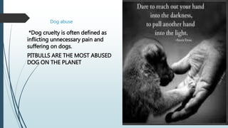 Dog abuse
*Dog cruelty is often defined as
inflicting unnecessary pain and
suffering on dogs.
PITBULLS ARE THE MOST ABUSED
DOG ON THE PLANET
 