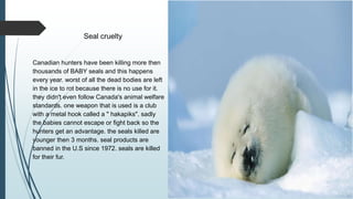 Seal cruelty
Canadian hunters have been killing more then
thousands of BABY seals and this happens
every year. worst of all the dead bodies are left
in the ice to rot because there is no use for it.
they didn't even follow Canada's animal welfare
standards. one weapon that is used is a club
with a metal hook called a " hakapiks". sadly
the babies cannot escape or fight back so the
hunters get an advantage. the seals killed are
younger then 3 months. seal products are
banned in the U.S since 1972. seals are killed
for their fur.
 
