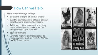 How Can we Help
Here are some ways to help
• Be aware of signs of animal cruelty
• Call the animal control officers at your
local humane society if necessary
• Tell them critical information so they
can try their best to make sure the
animal doesn't get harmed.
• Spread the word
• Donate money/ animal supplies to
organizations such as P.E.T.A., ASPCA,
WSPCA, and more
 