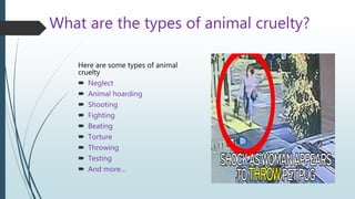 What are the types of animal cruelty?
Here are some types of animal
cruelty
 Neglect
 Animal hoarding
 Shooting
 Fighting
 Beating
 Torture
 Throwing
 Testing
 And more...
 