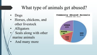 What type of animals get abused?
• Dogs
• Horses, chickens, and
other livestock
• Alligators
• Seals along with other
marine animals
• And many more
 