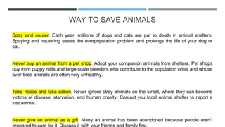 WAY TO SAVE ANIMALS
Spay and neuter. Each year, millions of dogs and cats are put to death in animal shelters.
Spaying and neutering eases the overpopulation problem and prolongs the life of your dog or
cat.
Never buy an animal from a pet shop. Adopt your companion animals from shelters. Pet shops
buy from puppy mills and large-scale breeders who contribute to the population crisis and whose
over-bred animals are often very unhealthy.
Take notice and take action. Never ignore stray animals on the street, where they can become
victims of disease, starvation, and human cruelty. Contact you local animal shelter to report a
lost animal.
Never give an animal as a gift. Many an animal has been abandoned because people aren’t
 