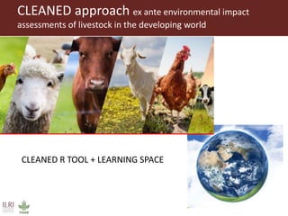 Tools not toys: CLEANED livestock environment app transforms data to decisions