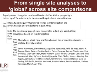 The Rural Household Multiple Indicator Survey (RHOMIS)