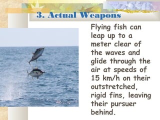 3. Actual Weapons
Flying fish can
leap up to a
meter clear of
the waves and
glide through the
air at speeds of
15 km/h on their
outstretched,
rigid fins, leaving
their pursuer
behind.
 