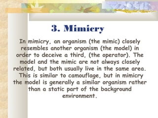 3. Mimicry
In mimicry, an organism (the mimic) closely
resembles another organism (the model) in
order to deceive a third, (the operator). The
model and the mimic are not always closely
related, but both usually live in the same area.
This is similar to camouflage, but in mimicry
the model is generally a similar organism rather
than a static part of the background
environment.
 