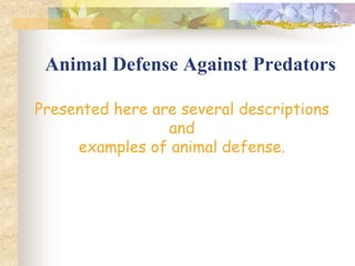 AnimalDefensevsPredators.pptx