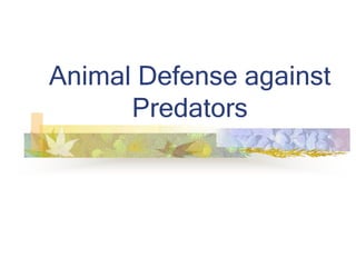 Animal Defense against
Predators
 