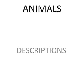 ANIMALS
DESCRIPTIONS
 