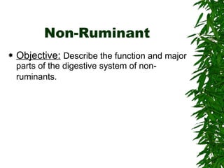 Animal Digestion | PPT