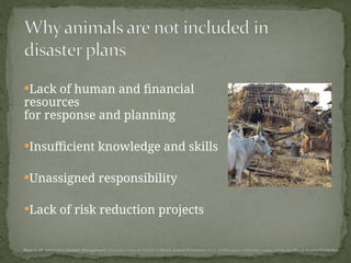 Comprehensive Veterinary Disaster Management in Animal Welfare | PPT