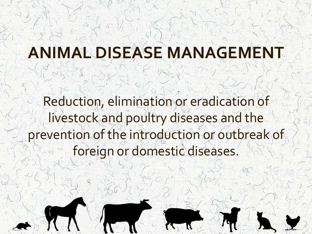 Animal Disease Control