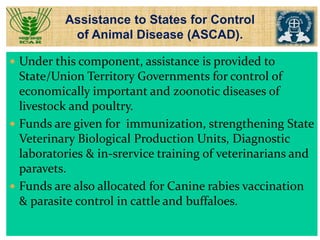 Animal Disease Control Programs in 
