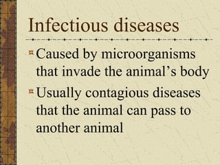Animal diseases | PPT