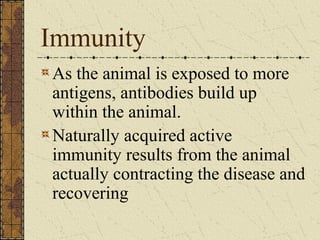 Animal diseases | PPT