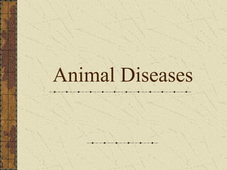Animal diseases