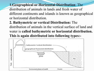 1.Geographical or Horizontal Distribution: The
distribution of animals in lands and fresh water of
different continents and islands is known as geographical
or horizontal distribution.
2. Bathymetric or vertical Distribution: The
distribution of animals in the vertical surface of land and
water is called bathymetric or horizontal distribution.
This is again distributed into following types:-
 