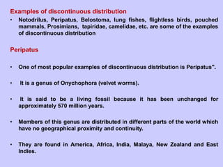 Examples of discontinuous distribution
• Notodrilus, Peripatus, Belostoma, lung fishes, flightless birds, pouched
mammals, Prosimians, tapiridae, camelidae, etc. are some of the examples
of discontinuous distribution
Peripatus
• One of most popular examples of discontinuous distribution is Peripatus".
• It is a genus of Onychophora (velvet worms).
• It is said to be a living fossil because it has been unchanged for
approximately 570 million years.
• Members of this genus are distributed in different parts of the world which
have no geographical proximity and continuity.
• They are found in America, Africa, India, Malaya, New Zealand and East
Indies.
 