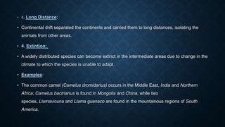 • 3. Long Distance:
• Continental drift separated the continents and carried them to long distances, isolating the
animals from other areas.
• 4. Extintion:
• A widely distributed species can become extinct in the intermediate areas due to change in the
climate to which the species is unable to adapt.
• Examples:
• The common camel (Camelus dromidarius) occurs in the Middle East, India and Northern
Africa; Camelus bactrianus is found in Mongolia and China, while two
species, Llamavicuna and Llama guanaco are found in the mountainous regions of South
America.
 