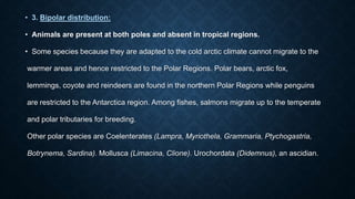 • 3. Bipolar distribution:
• Animals are present at both poles and absent in tropical regions.
• Some species because they are adapted to the cold arctic climate cannot migrate to the
warmer areas and hence restricted to the Polar Regions. Polar bears, arctic fox,
lemmings, coyote and reindeers are found in the northern Polar Regions while penguins
are restricted to the Antarctica region. Among fishes, salmons migrate up to the temperate
and polar tributaries for breeding.
Other polar species are Coelenterates (Lampra, Myriothela, Grammaria, Ptychogastria,
Botrynema, Sardina). Mollusca (Limacina, Clione). Urochordata (Didemnus), an ascidian.
 