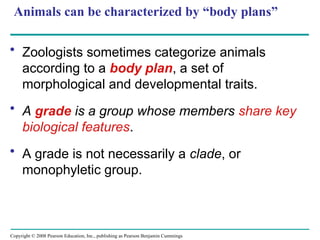 Comprehensive Overview of Animal Diversity and Evolutionary Biology | PPT