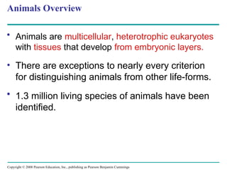Comprehensive Overview of Animal Diversity and Evolutionary Biology | PPT