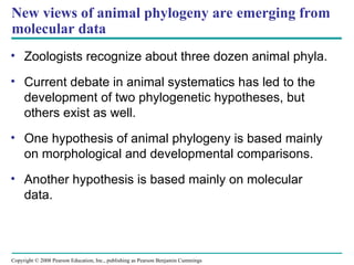 Comprehensive Overview of Animal Diversity and Evolutionary Biology | PPT