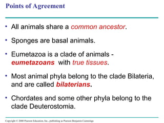 Comprehensive Overview of Animal Diversity and Evolutionary Biology | PPT