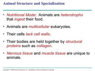Comprehensive Overview of Animal Diversity and Evolutionary Biology | PPT