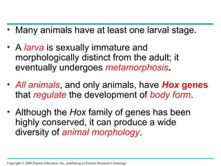 Comprehensive Overview of Animal Diversity and Evolutionary Biology | PPT