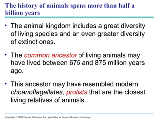 Comprehensive Overview of Animal Diversity and Evolutionary Biology | PPT